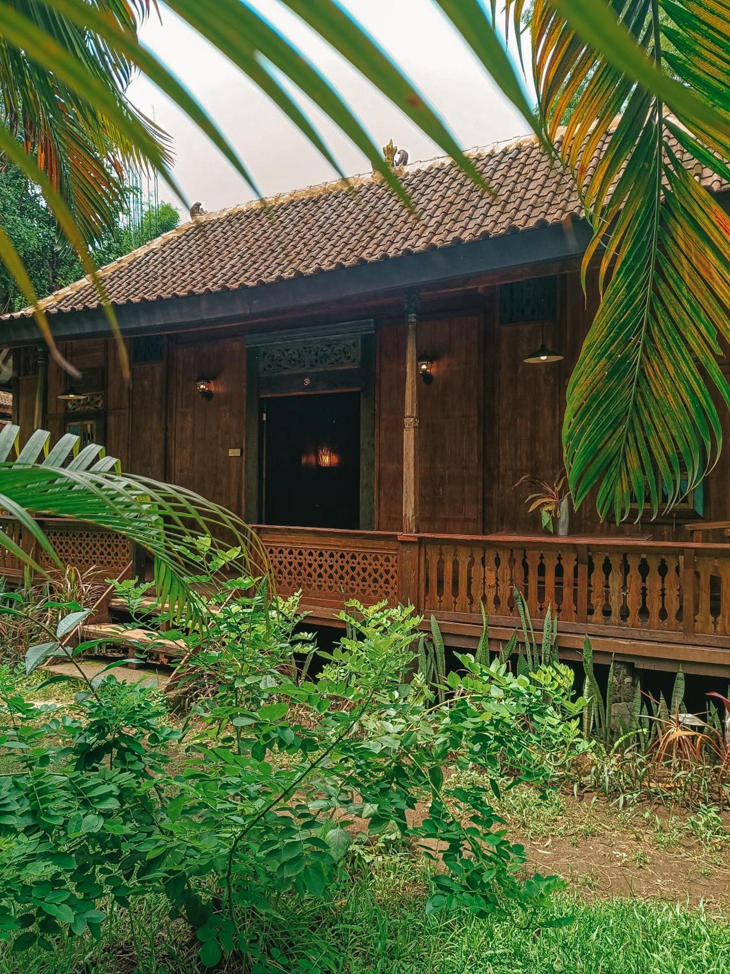 Alaya Ecolodge Пемутеран Екстер'єр фото